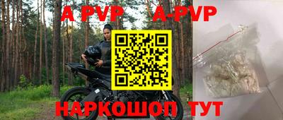 СК Волгодонск