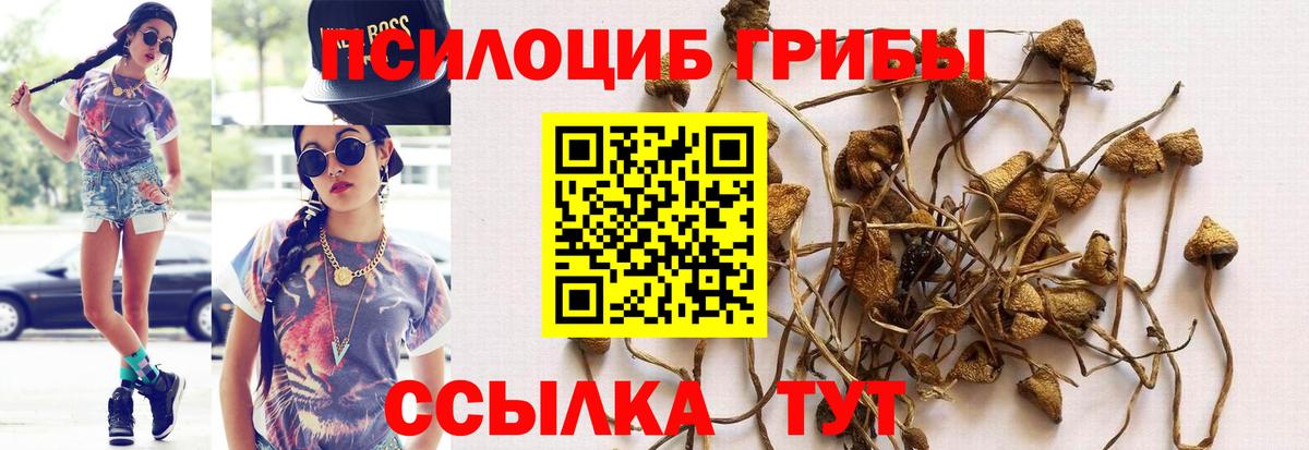 Псилоцибиновые грибы GOLDEN TEACHER Нерюнгри