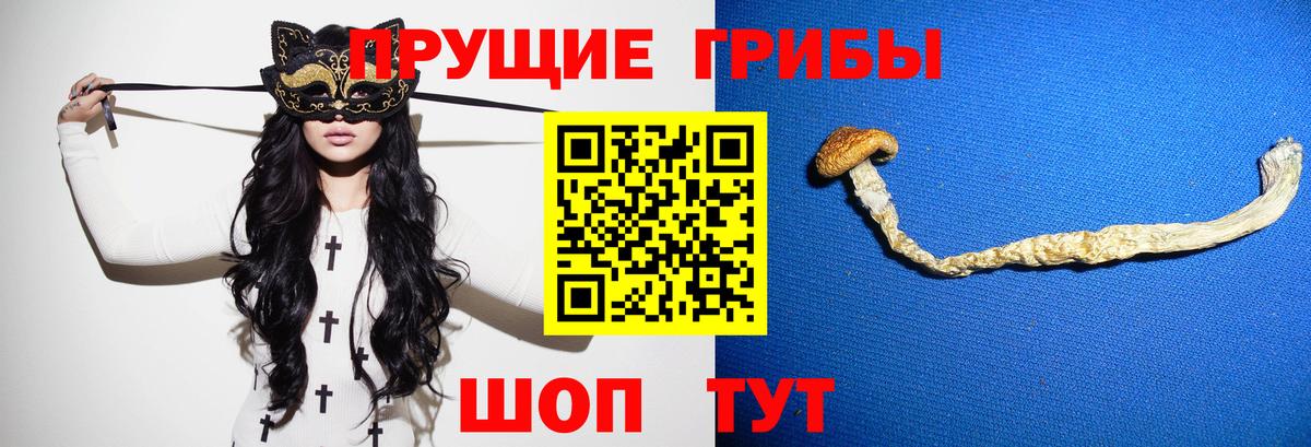 Псилоцибиновые грибы ЛСД  Вход с VPN  Нерюнгри 